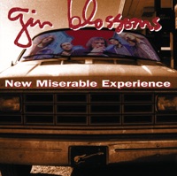 Gin Blossoms - found out about you