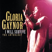 Gloria Gaynor - i will survive (timber & valeriy smile remix)