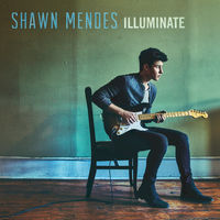 Shawn Mendes - mercy