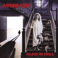 Annihilator - shallow grave