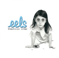 Eels - i need some sleep