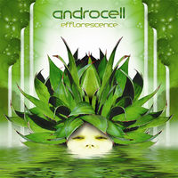 Androcell - seahorse dreams