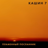 Павел Кашин - город