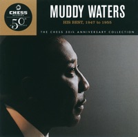 Muddy Waters - (i'm your) hoochie coochie man