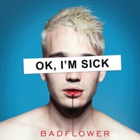 Badflower - don't hate me