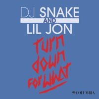 DJ Snake - you know you like it