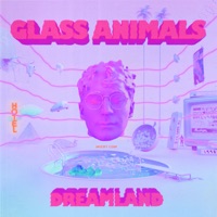 Glass Animals - i don't wanna talk