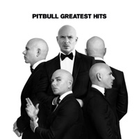 Pitbull - give me everything