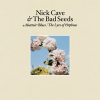 Nick Cave - where the wild roses grow