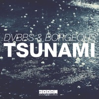 DVBBS - never leave (extended mix)