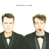 Pet Shop Boys - new york city boy
