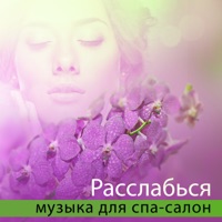 Академия - тома