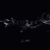 Lx24 - уголёк (remix)