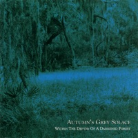 Autumn's Grey Solace - widgilness