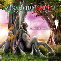 Asylum Pyre - the frozen will