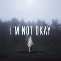 Citizen Soldier - unsaid