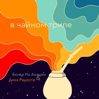 Белки На Акации - удивительная