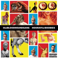 Bloodhound Gang - the bad touch (eiffel 65 remix)