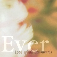 Love Spirals Downwards - misunderstood (i'll always love you remix)