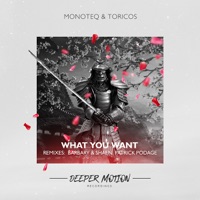Toricos - come back baby (monoteq remix)