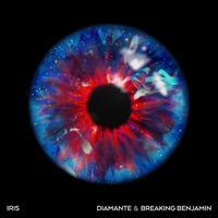 DIAMANTE - obvious