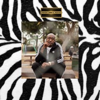 Freddie Gibbs & Madlib - deep