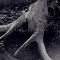 Being As An Ocean - dear g-d